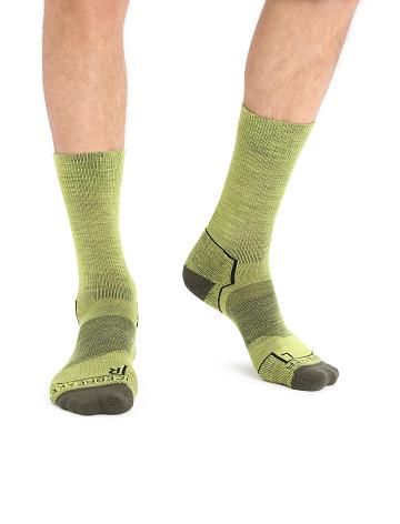 Shine / Loden Men's Icebreaker Merino Hike+ Light Crew Socks | USA 1040HAPK